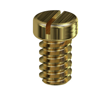 BFSC M4X6 MS Vis de fixation (bloc de jonction)