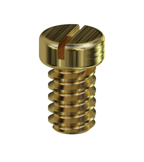 BFSC M4X6 MS Vis de fixation (bloc de jonction)
