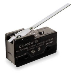 DZ-10GW-1B Microrupteur à...