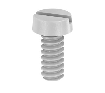 BFSC M4X9T Vis de fixation (bloc de jonction)
