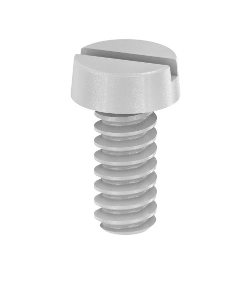 BFSC M4X9T Vis de fixation (bloc de jonction)