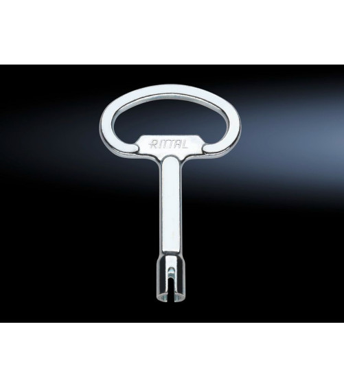 2521000 Clé pour armoires électriques, pour Daimler