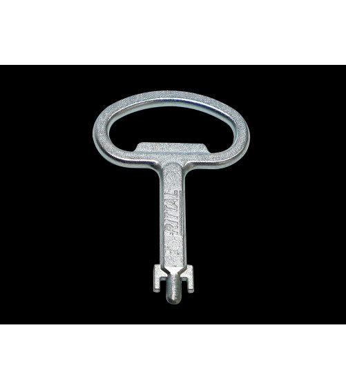 2308000 Clé Fiat pour armoires électriques - Pour dispositifs de verrouillage